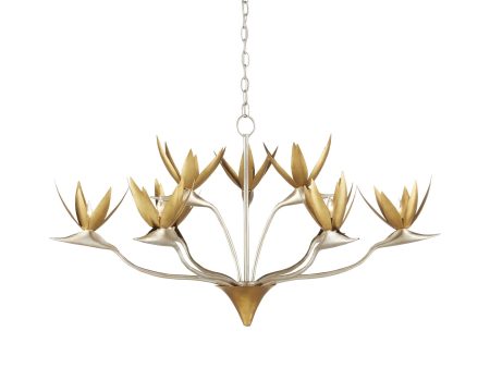 Paradiso Chandelier Hot on Sale