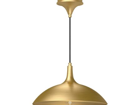 Abel Pendant Light Fashion